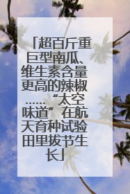 超百斤重巨型南瓜、维生素含量更高的辣椒……“太空味道”在航天育种试验田里拔节生长