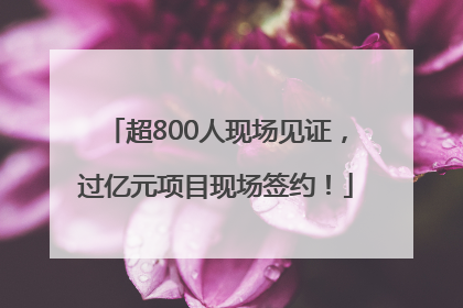 超800人现场见证，过亿元项目现场签约！
