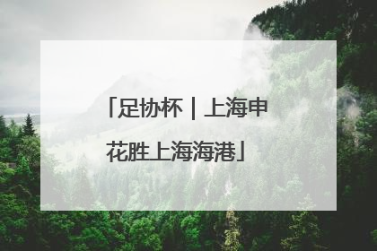 足协杯｜上海申花胜上海海港