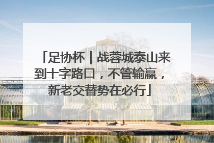 足协杯｜战蓉城泰山来到十字路口，不管输赢，新老交替势在必行