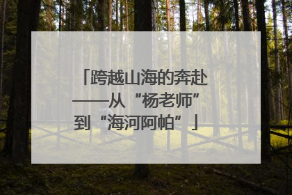 跨越山海的奔赴——从“杨老师”到“海河阿帕”
