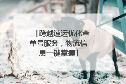 跨越速运优化查单号服务，物流信息一键掌握