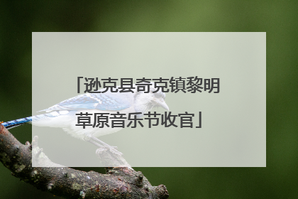 逊克县奇克镇黎明草原音乐节收官