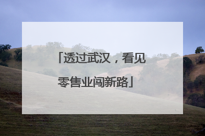 透过武汉，看见零售业闯新路