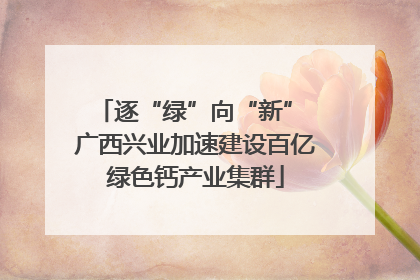 逐“绿”向“新” 广西兴业加速建设百亿绿色钙产业集群