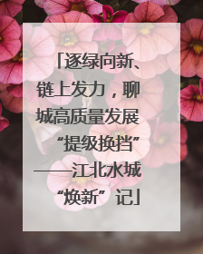 逐绿向新、链上发力，聊城高质量发展“提级换挡”——江北水城“焕新”记