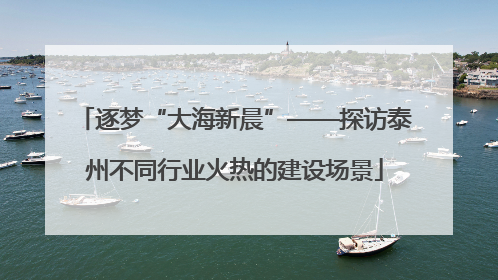逐梦“大海新晨”——探访泰州不同行业火热的建设场景
