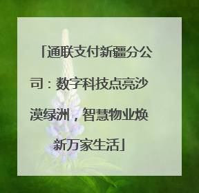 通联支付新疆分公司：数字科技点亮沙漠绿洲，智慧物业焕新万家生活