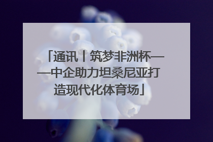 通讯丨筑梦非洲杯——中企助力坦桑尼亚打造现代化体育场