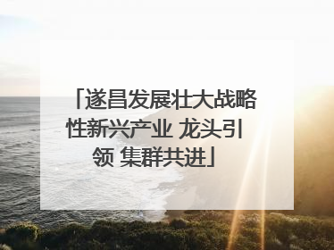 遂昌发展壮大战略性新兴产业 龙头引领 集群共进