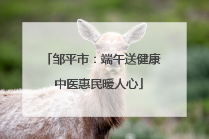 邹平市：端午送健康 中医惠民暖人心