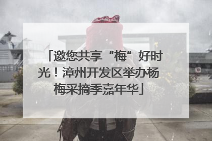 邀您共享“梅”好时光！漳州开发区举办杨梅采摘季嘉年华