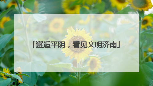 邂逅平阴，看见文明济南