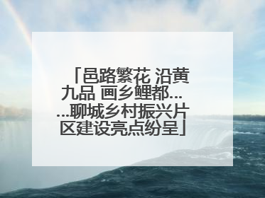 邑路繁花 沿黄九品 画乡鲤都……聊城乡村振兴片区建设亮点纷呈