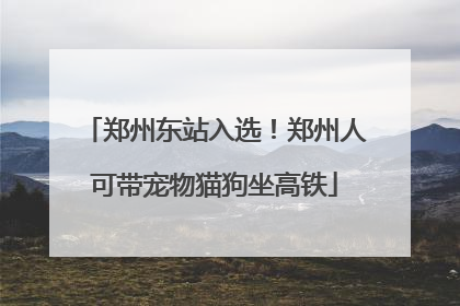 郑州东站入选！郑州人可带宠物猫狗坐高铁