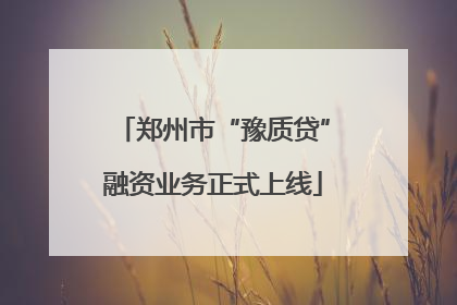 郑州市“豫质贷”融资业务正式上线