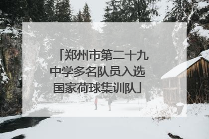 郑州市第二十九中学多名队员入选国家荷球集训队