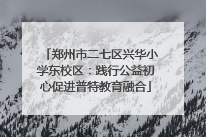 郑州市二七区兴华小学东校区：践行公益初心促进普特教育融合