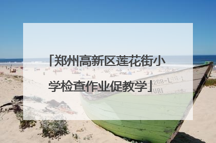 郑州高新区莲花街小学检查作业促教学