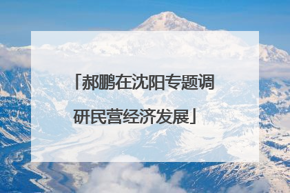 郝鹏在沈阳专题调研民营经济发展