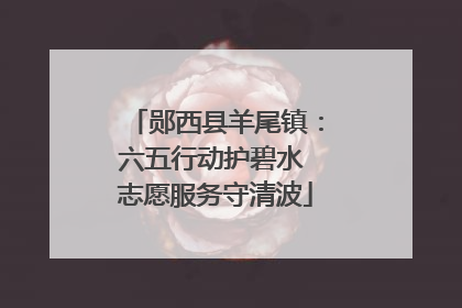 郧西县羊尾镇：六五行动护碧水 志愿服务守清波