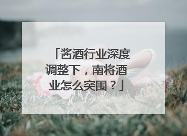 酱酒行业深度调整下，南将酒业怎么突围？