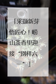 采撷新芽悟匠心！崂山茶香里迎接“别样六一”