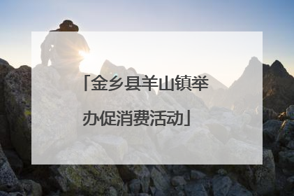 金乡县羊山镇举办促消费活动