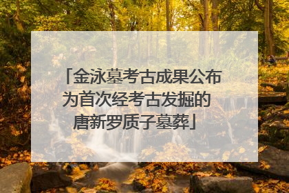 金泳墓考古成果公布 为首次经考古发掘的唐新罗质子墓葬