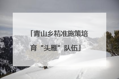 青山乡精准施策培育“头雁”队伍