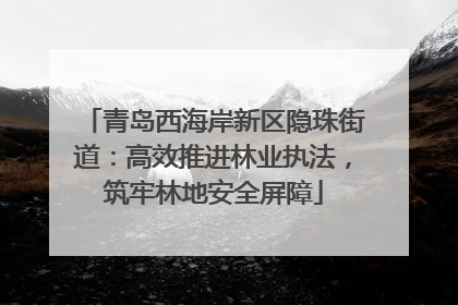 青岛西海岸新区隐珠街道：高效推进林业执法，筑牢林地安全屏障