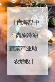 青海湟中：高原冷凉蔬菜产业助农增收