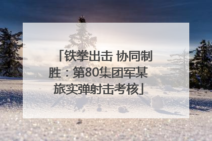 铁拳出击 协同制胜：第80集团军某旅实弹射击考核