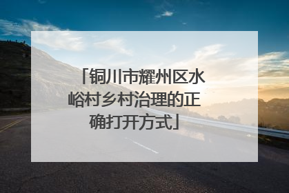 铜川市耀州区水峪村乡村治理的正确打开方式