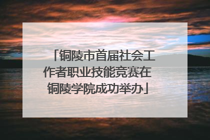 铜陵市首届社会工作者职业技能竞赛在铜陵学院成功举办