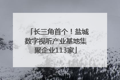长三角首个！盐城数字视听产业基地集聚企业113家