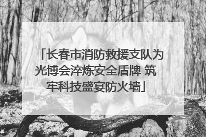长春市消防救援支队为光博会淬炼安全盾牌 筑牢科技盛宴防火墙