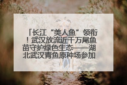 长江“美人鱼”领衔！武汉放流近千万尾鱼苗守护绿色生态——湖北武汉青鱼原种场参加2025年“全国放鱼日”增殖放流活动