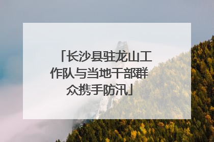 长沙县驻龙山工作队与当地干部群众携手防汛