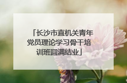 长沙市直机关青年党员理论学习骨干培训班圆满结业