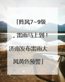 阵风7~9级，雷雨马上到！济南发布雷雨大风黄色预警