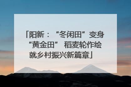 阳新：“冬闲田”变身“黄金田” 稻麦轮作绘就乡村振兴新篇章
