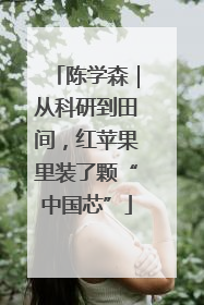 陈学森｜从科研到田间，红苹果里装了颗“中国芯”