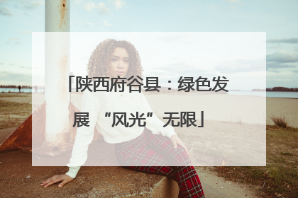 陕西府谷县：绿色发展 “风光”无限