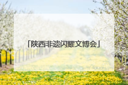 陕西非遗闪耀文博会