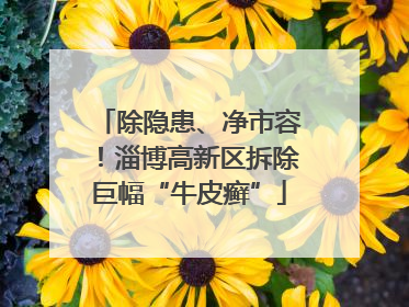 除隐患、净市容！淄博高新区拆除巨幅“牛皮癣”