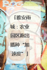 雅安雨城：农业园区跑出播种“加速度”