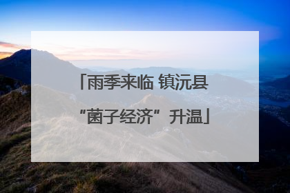 雨季来临 镇沅县“菌子经济”升温