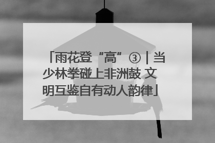雨花登“高”③｜当少林拳碰上非洲鼓 文明互鉴自有动人韵律