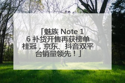 魅族 Note 16 补货开售再获榜单桂冠，京东、抖音双平台销量领先！